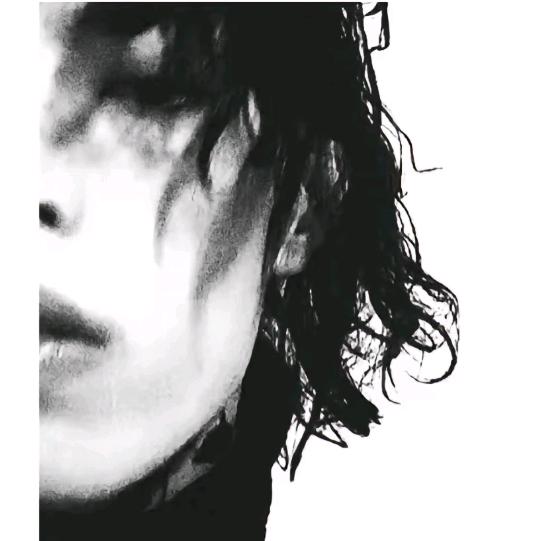 -东锅先生