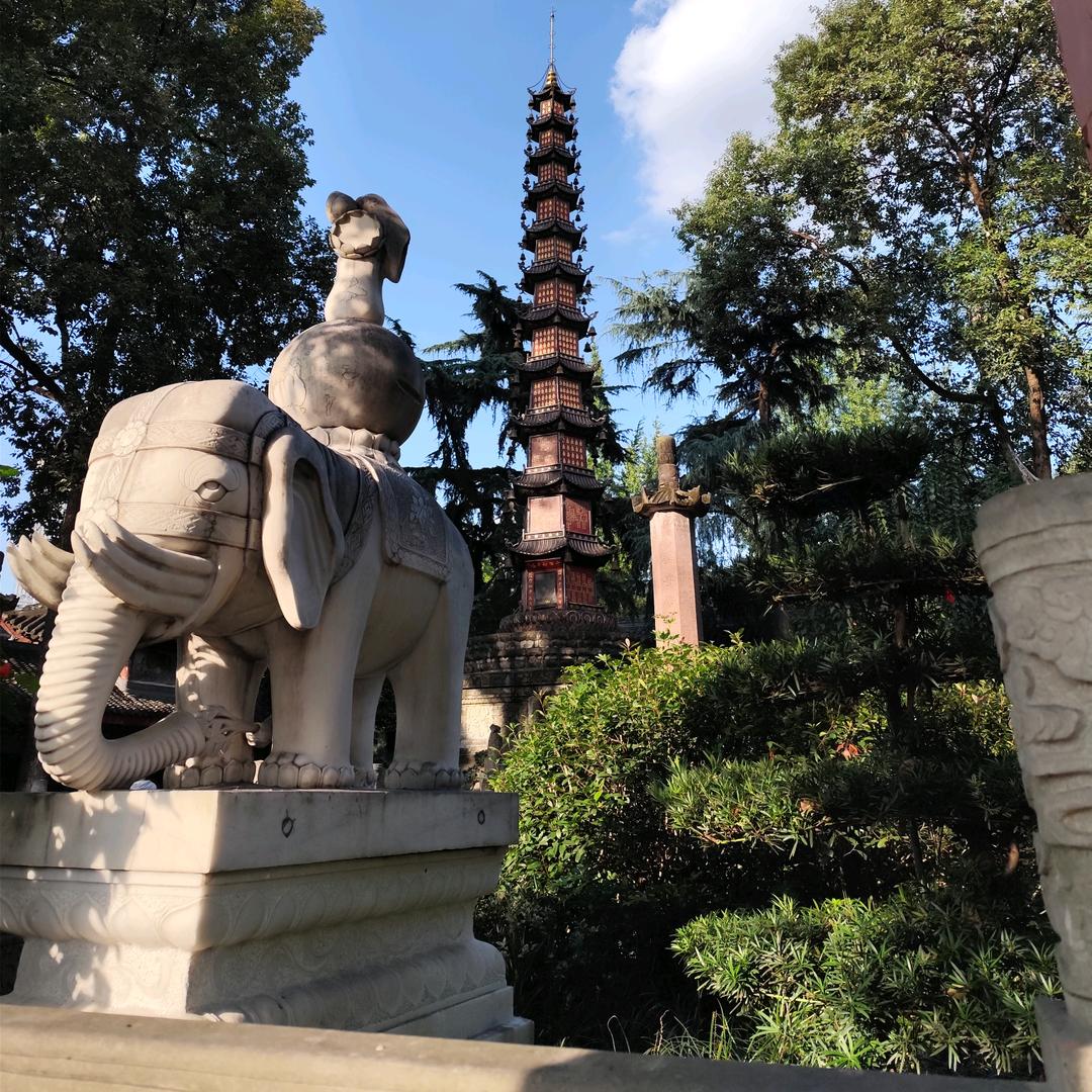 随风而去