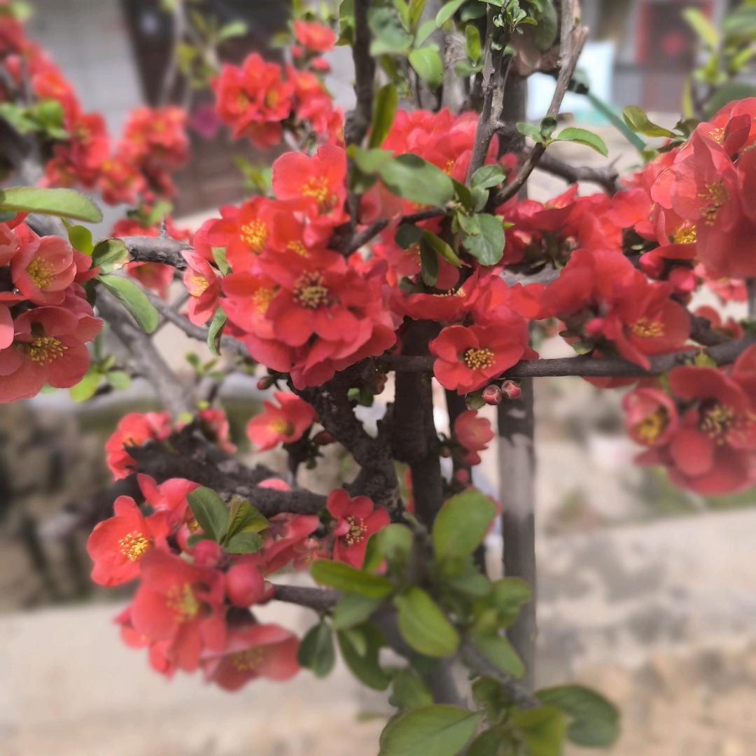 9月完了马上到了中秋节了