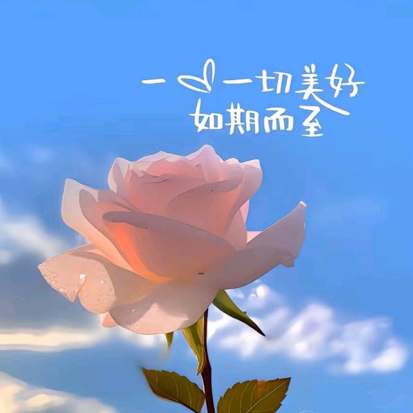 ^_^平安喜乐^_^