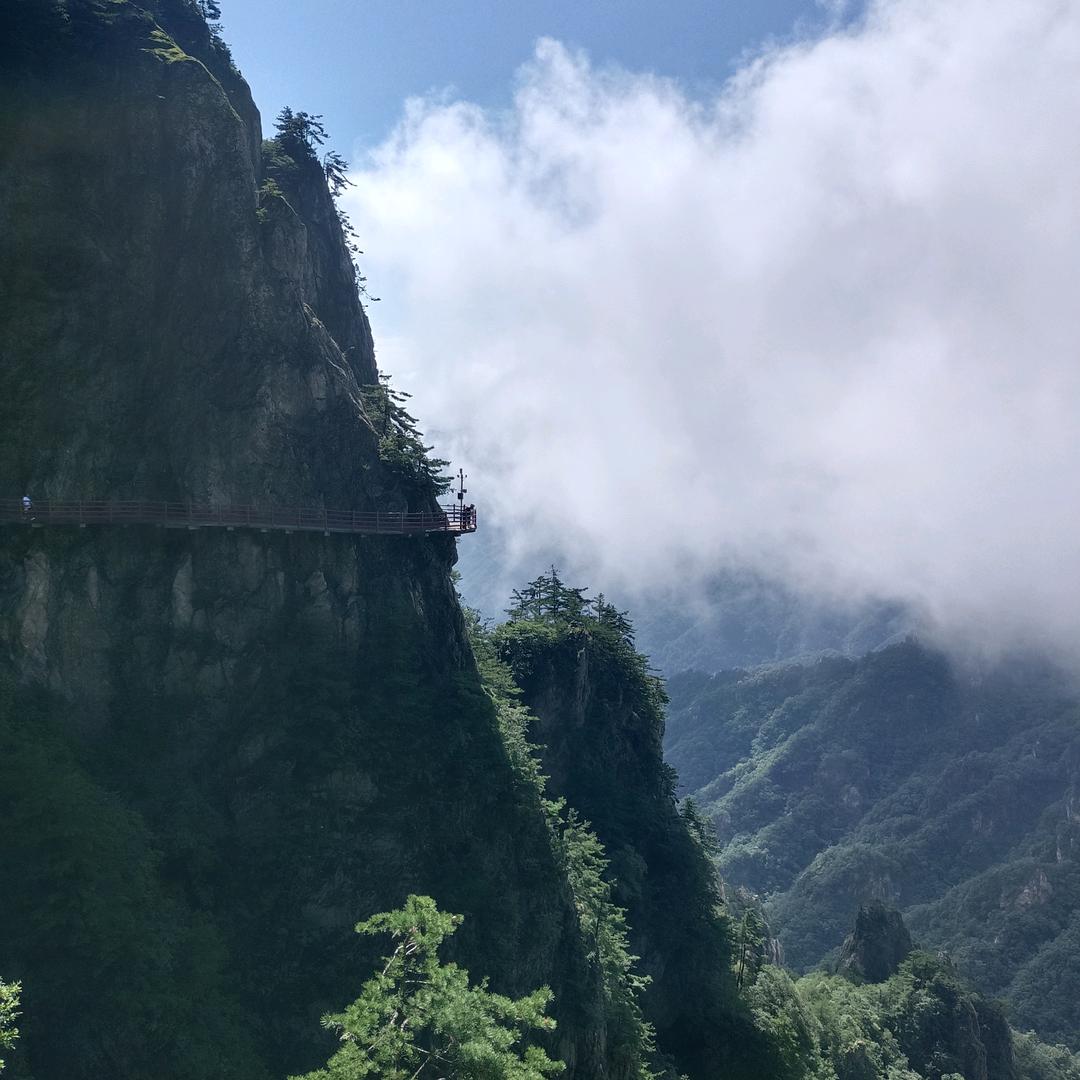 我想去远方
