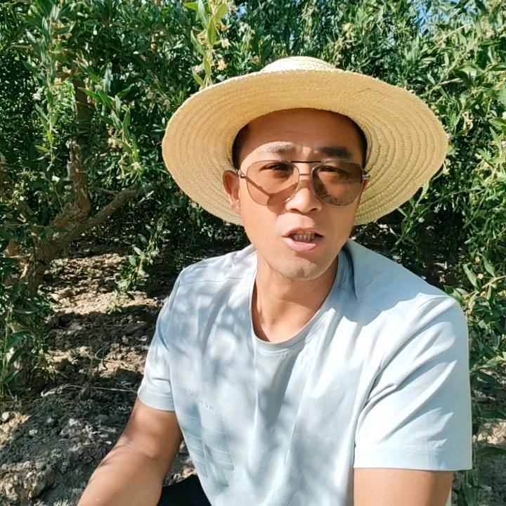柴达木  小东 有枸杞