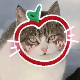 🌻🌈🌈星星都睡觉了