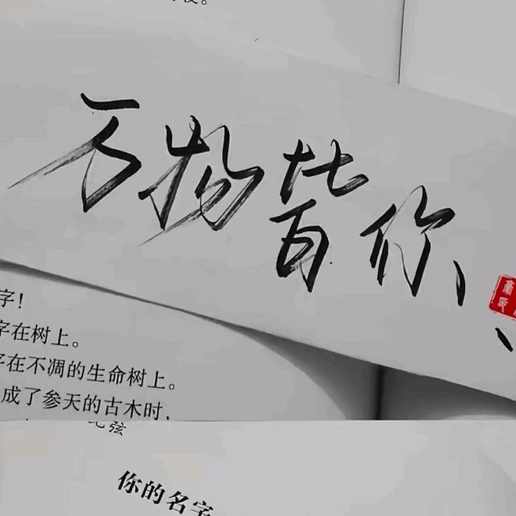 武山宁远大道令盼霞
