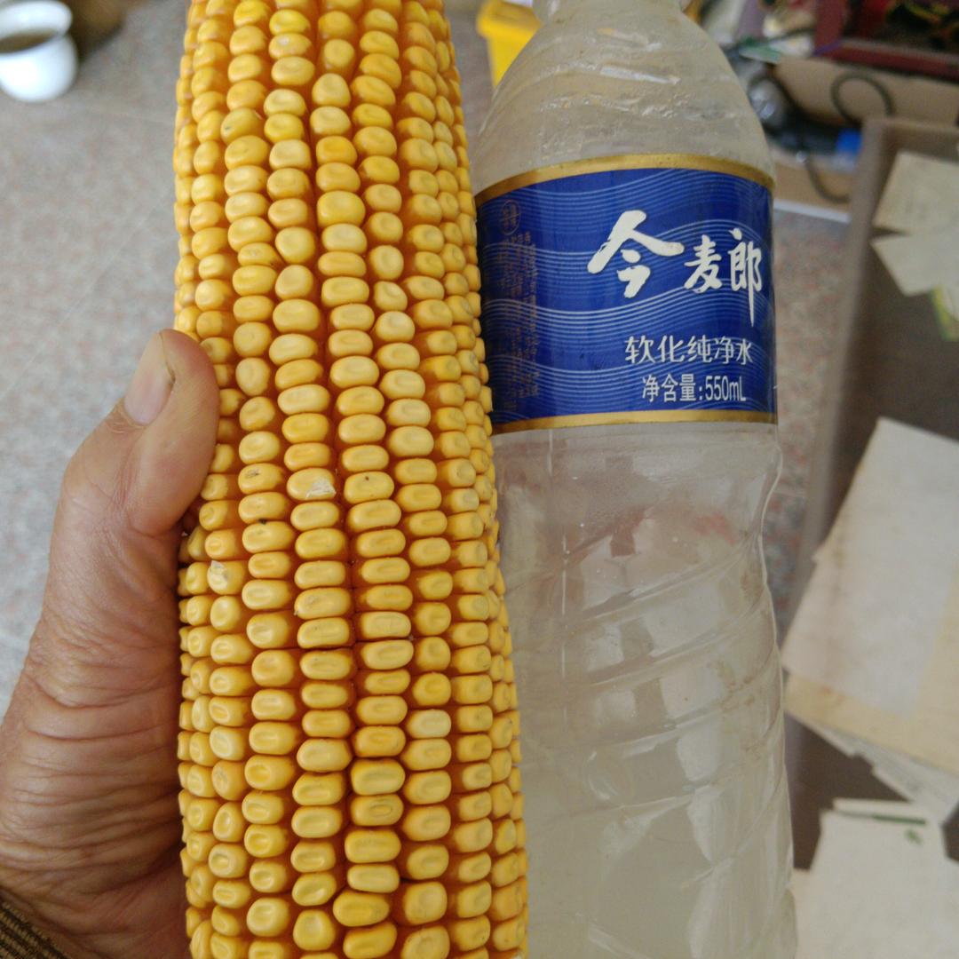 唐风林（农业大全）
