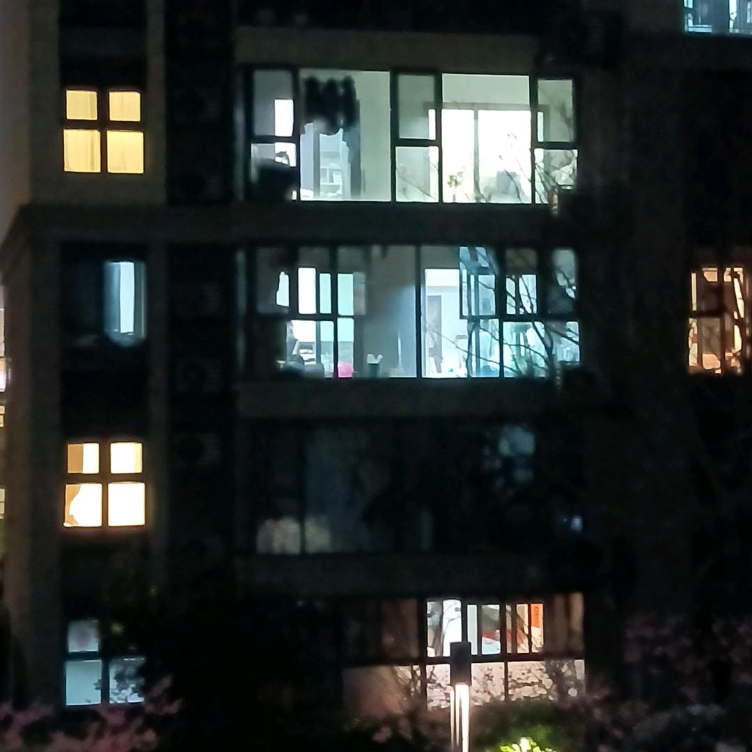 青山独青远