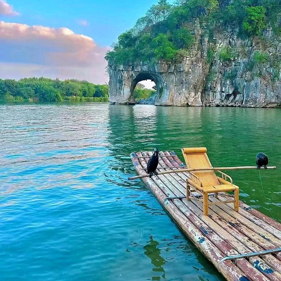 沃德天