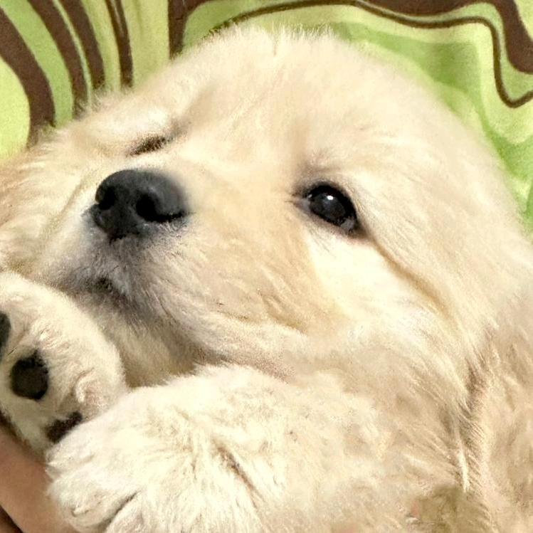 好好学习天天向上