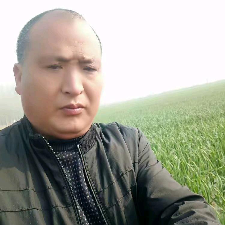 看山心静