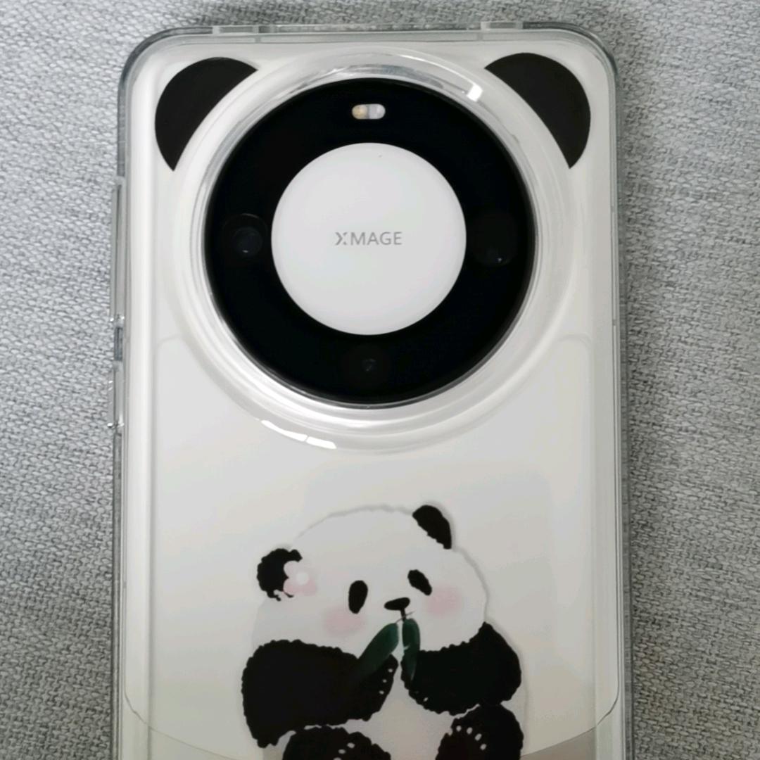 何必执着