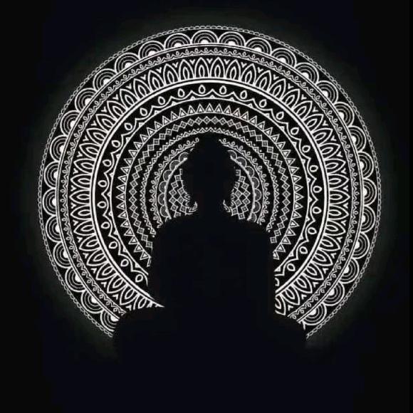 硕哥