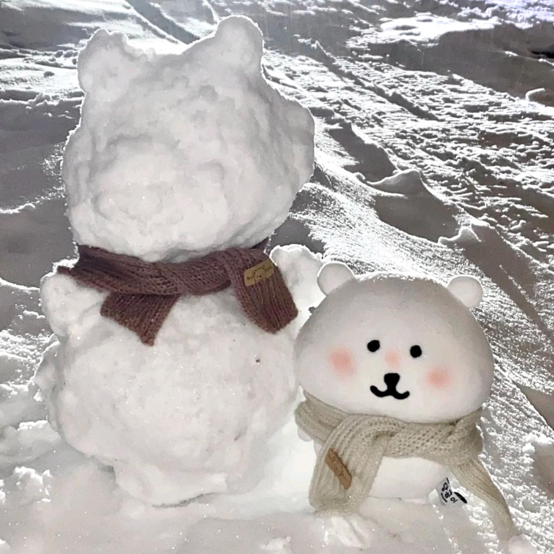 深冬雪_
