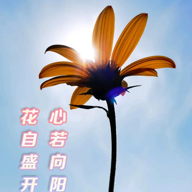 紫瑞131419
