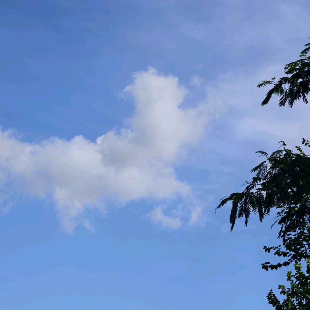 123