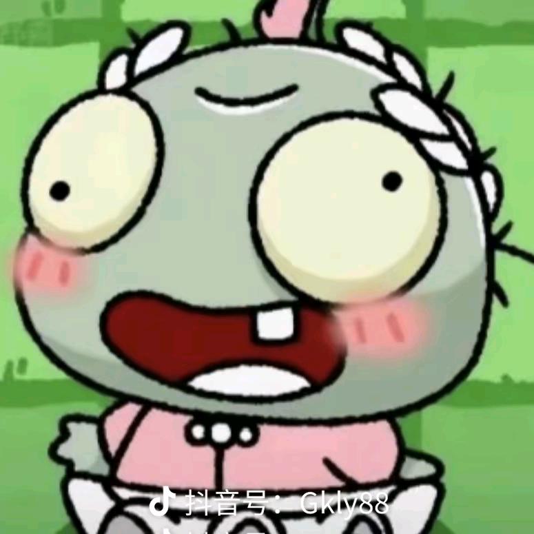 粉红色的赖格宝