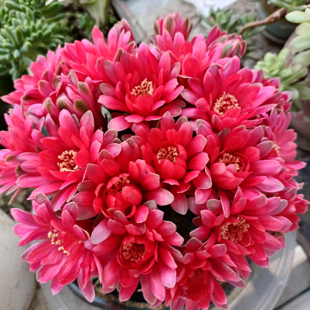 💖余生᭄随心🌹