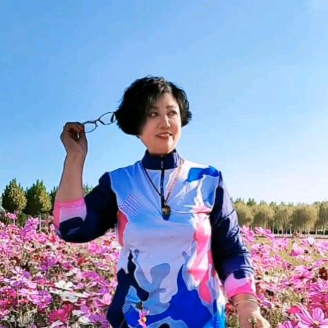 贾姐