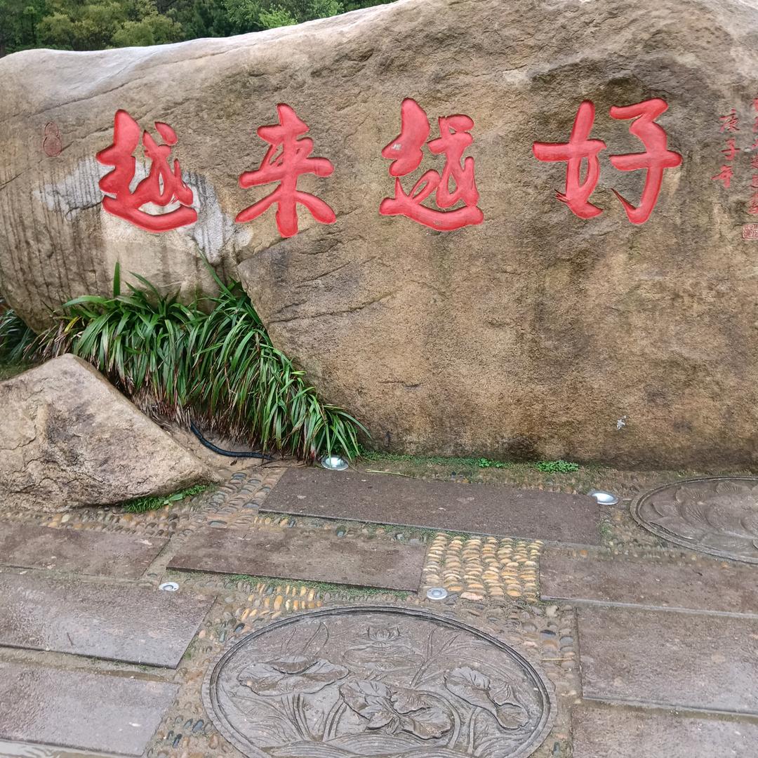 秀娟娟