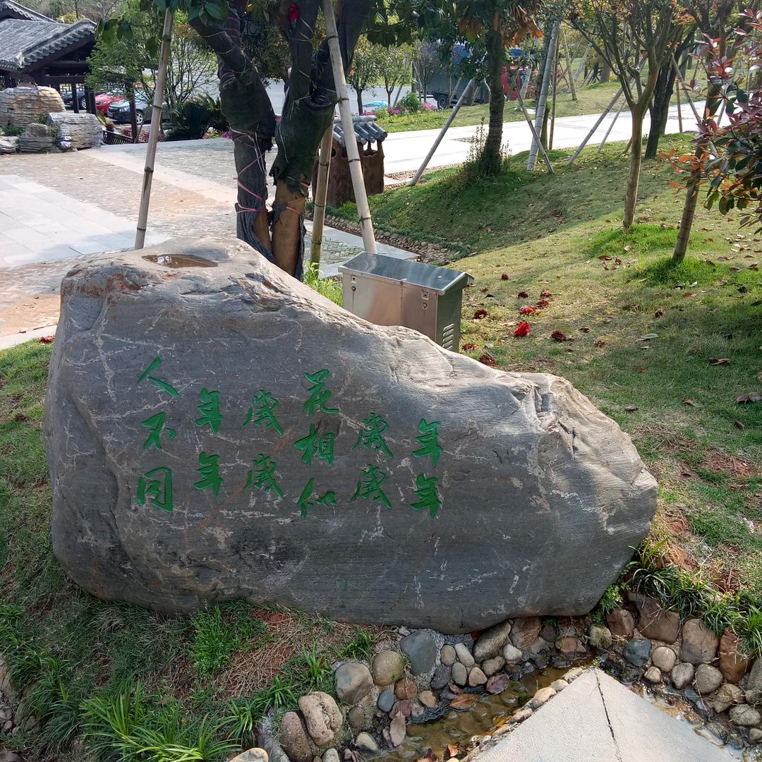 星月软糖