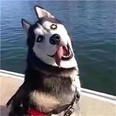 剑河