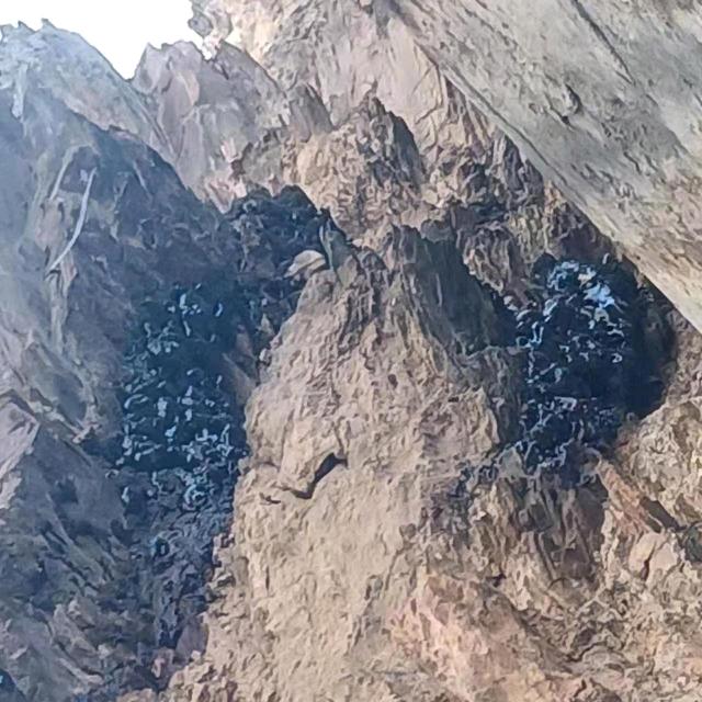 梦想