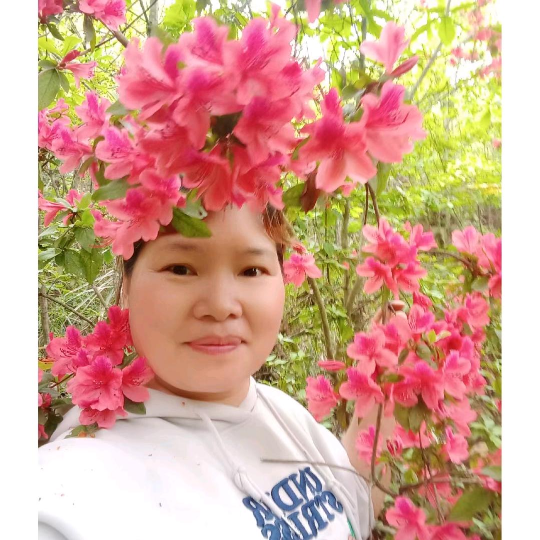 岚珊.