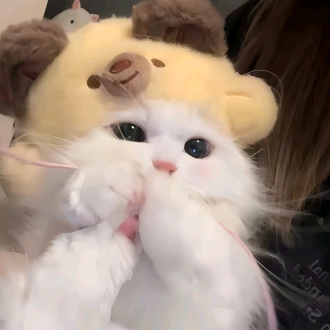 是橘子哟~
