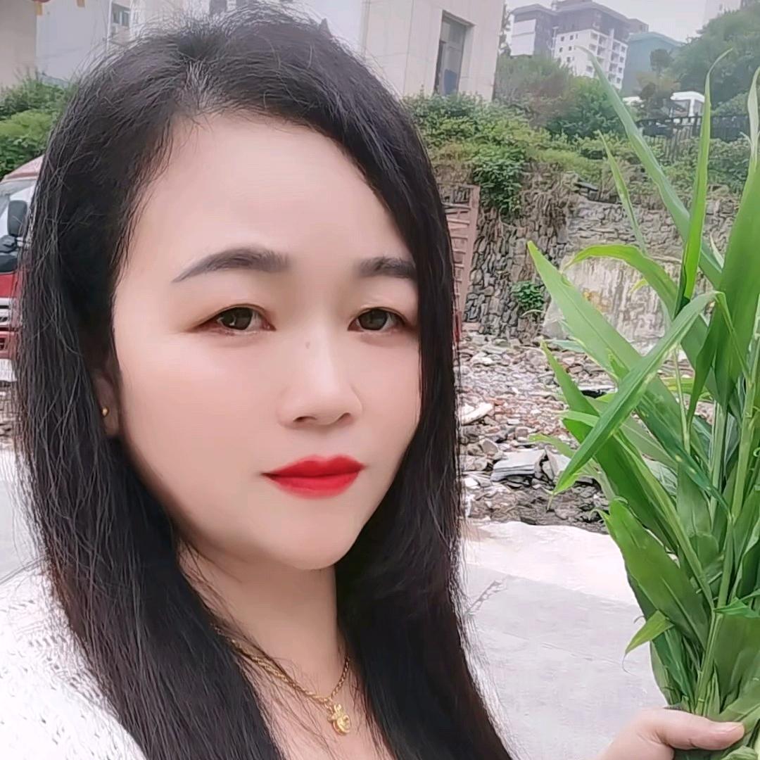 琴姐