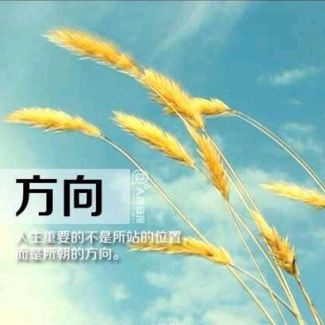 红蓝险中求…