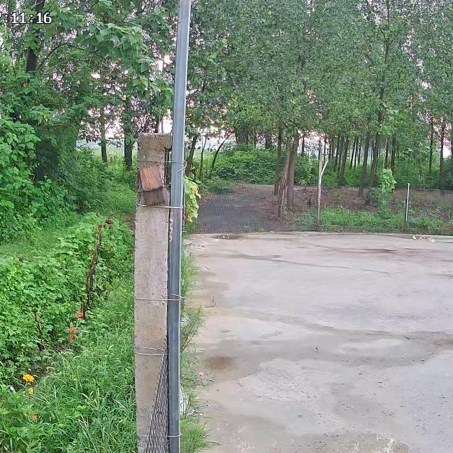 中药材种植