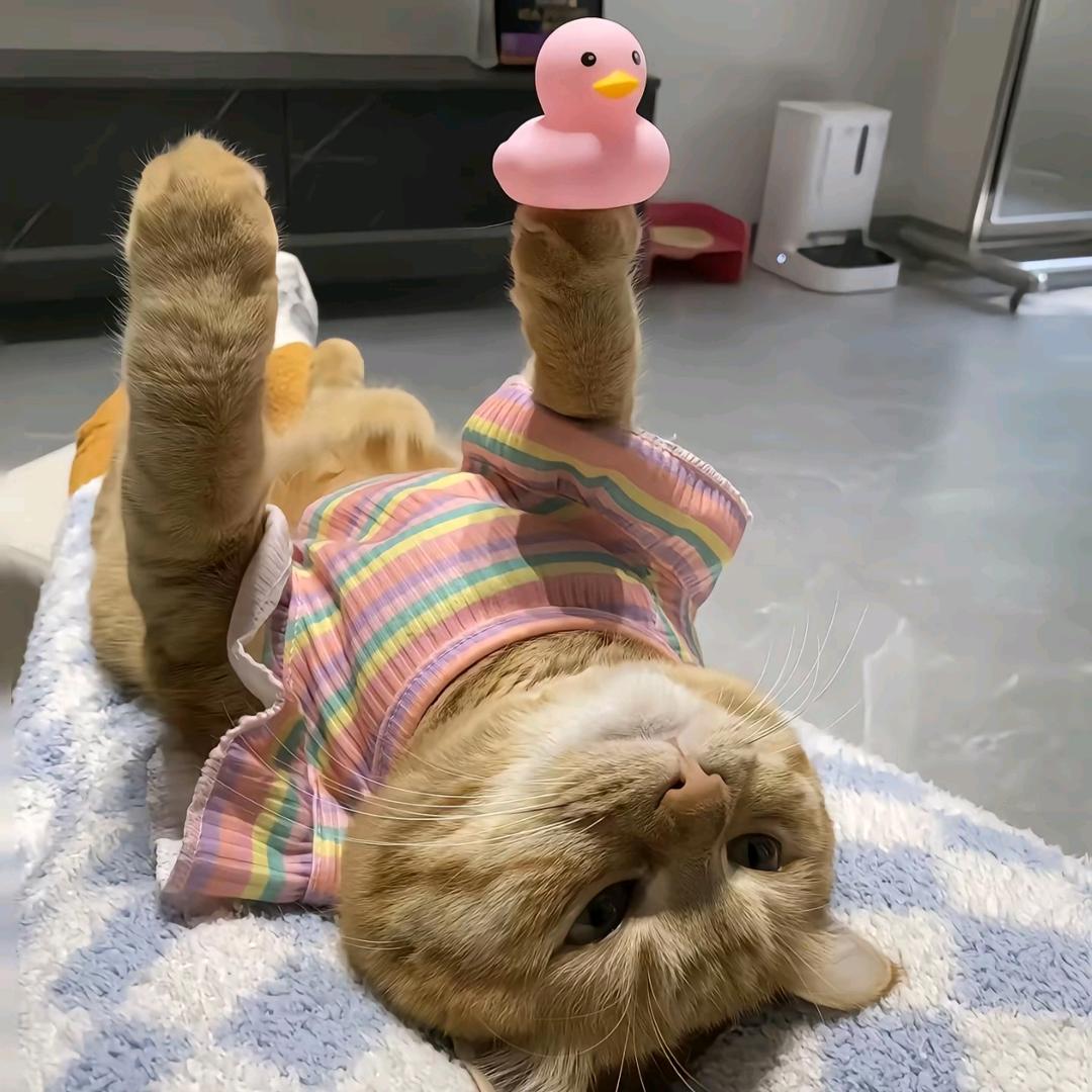 未知