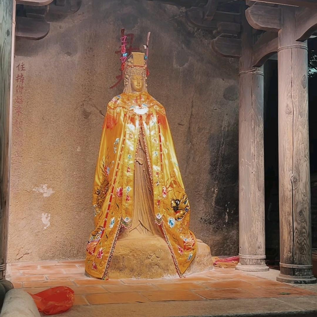 自由的鱼