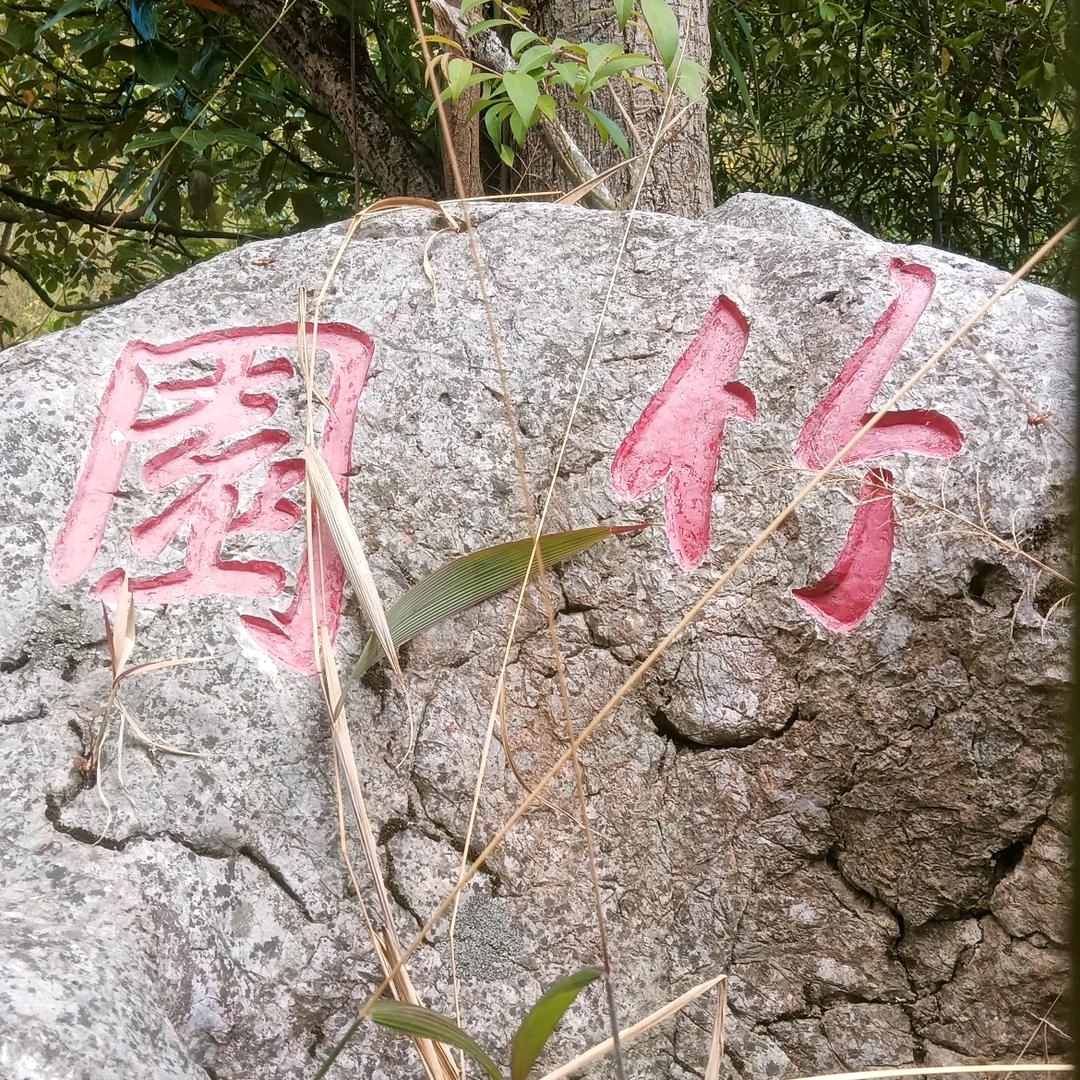 时间过得真快！
