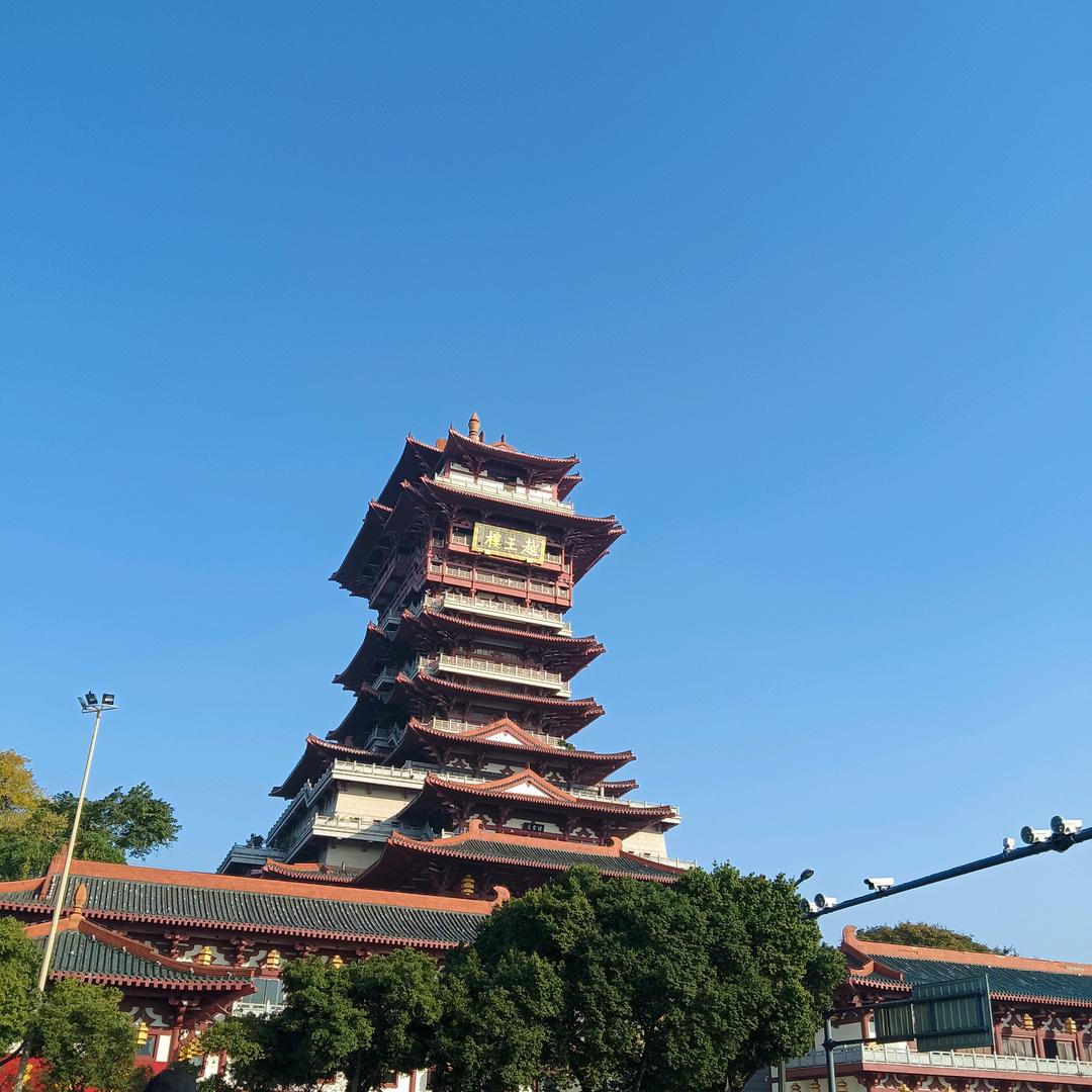 不念过往