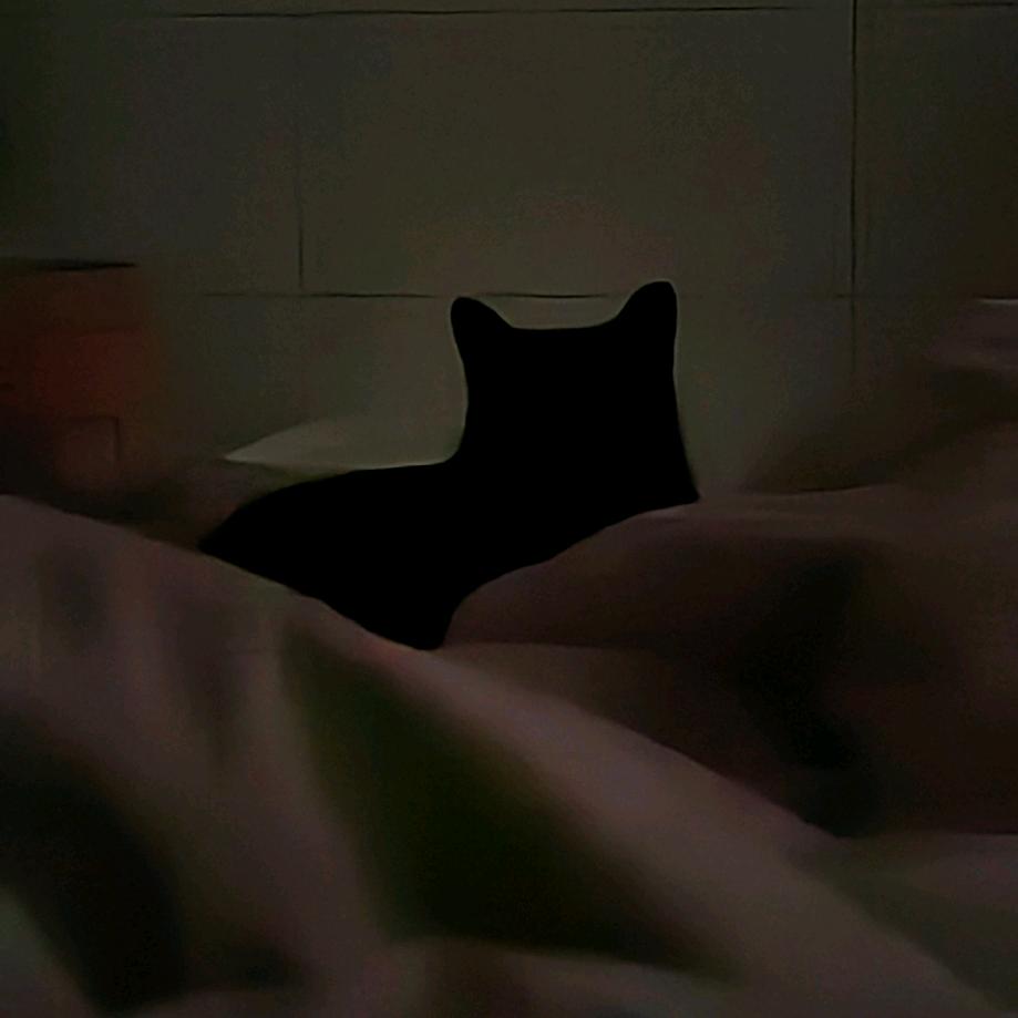 超级小猫小小出击