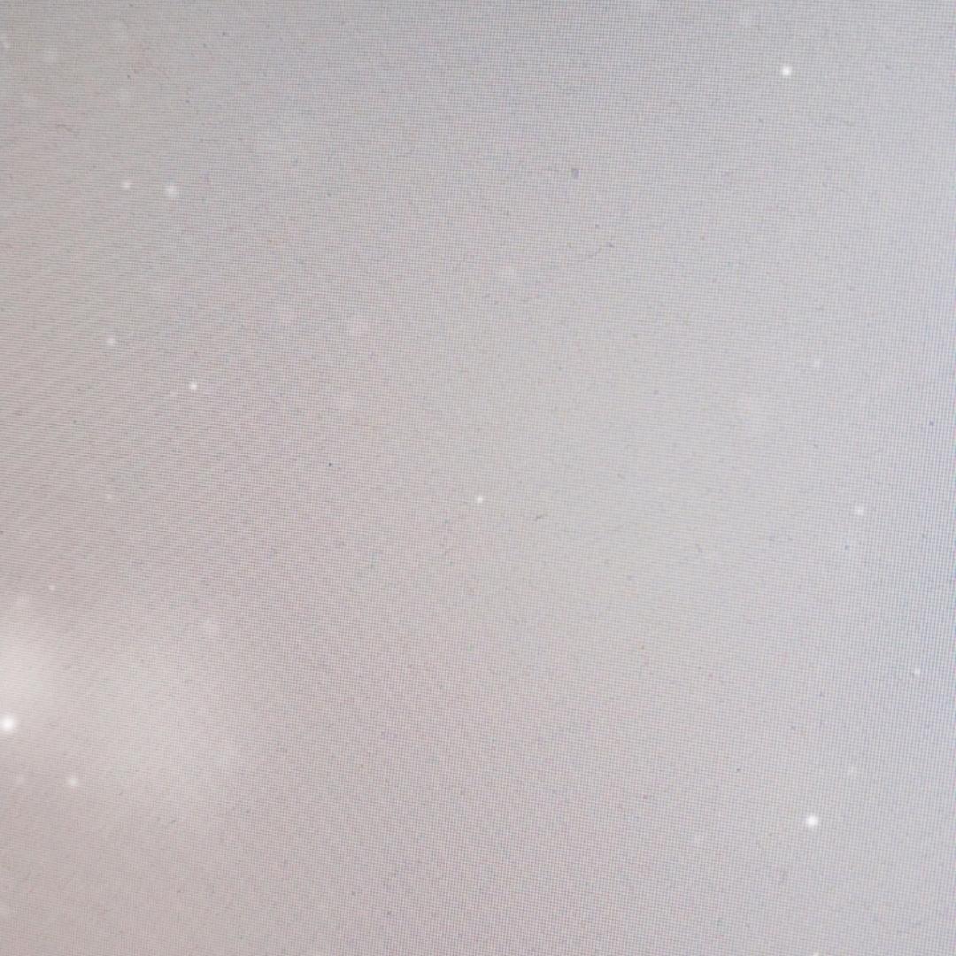丽丽