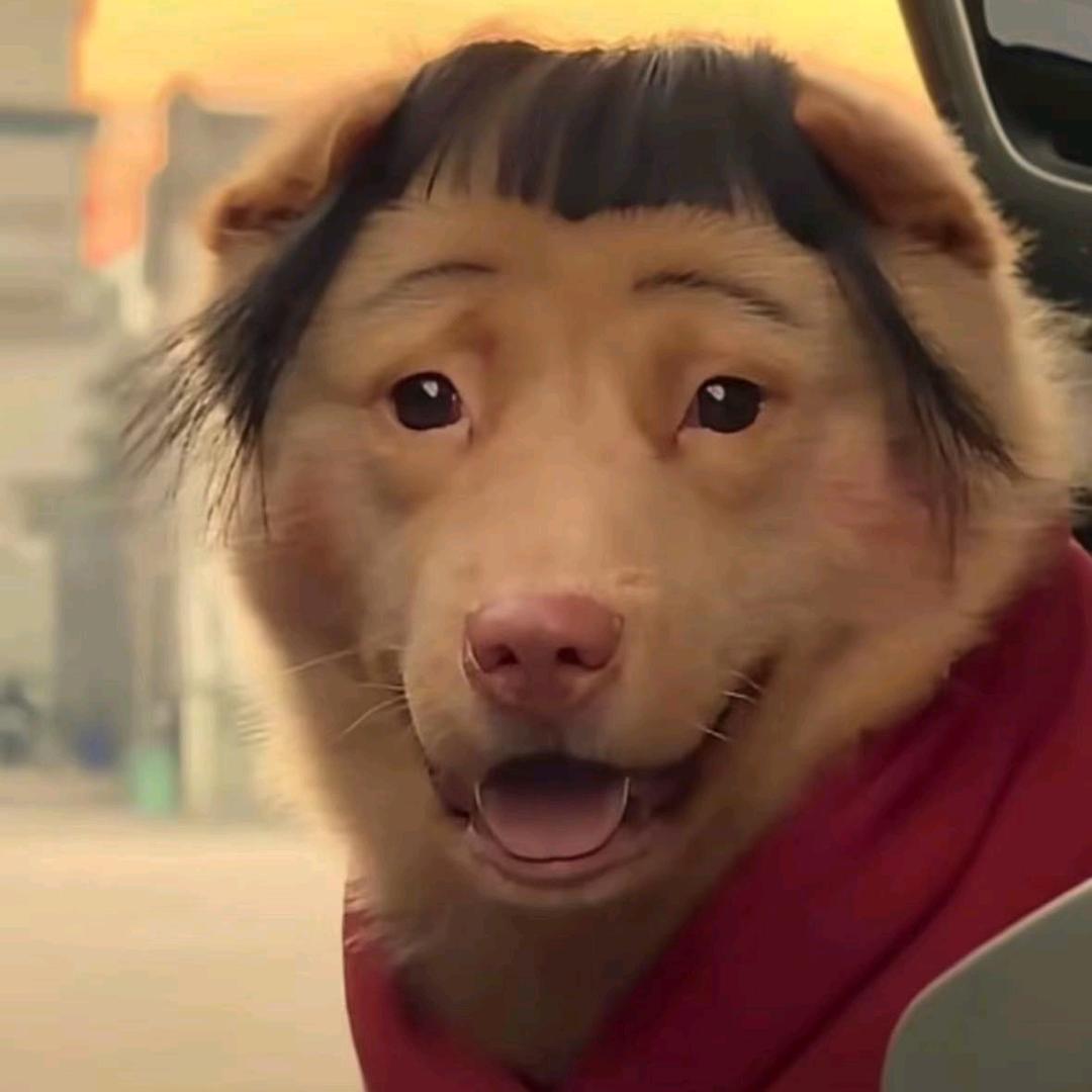 佳豪贰佰伍消防