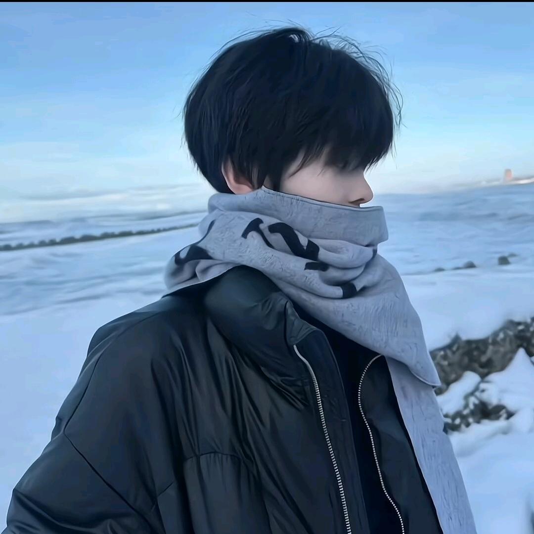 羊村没网