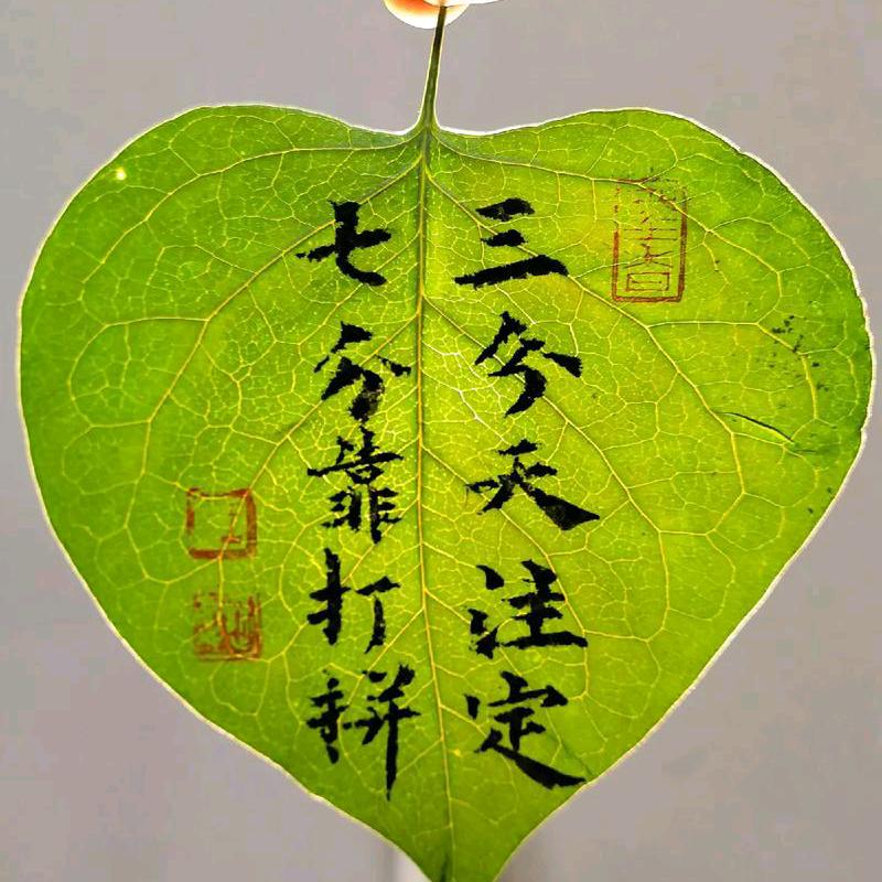 燕子，燕子