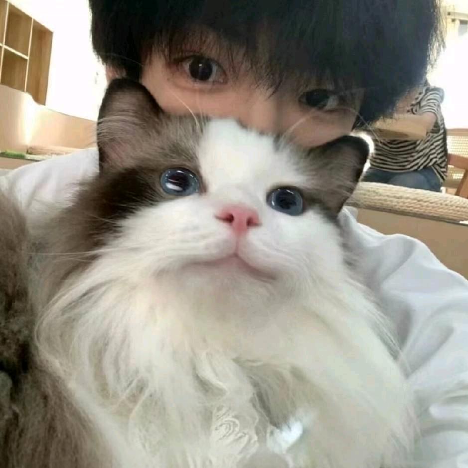 ※※※※※