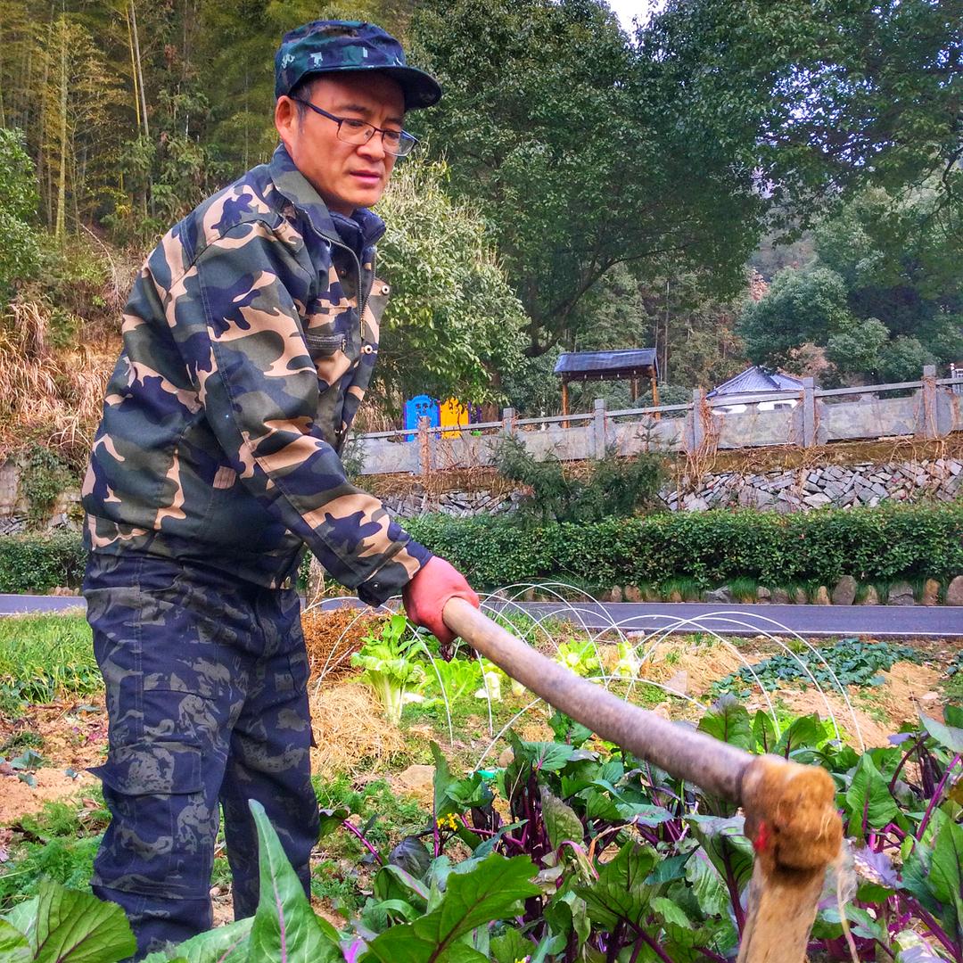 桐庐农家乐老吴
