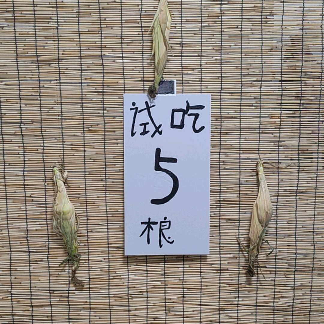 豁牙子