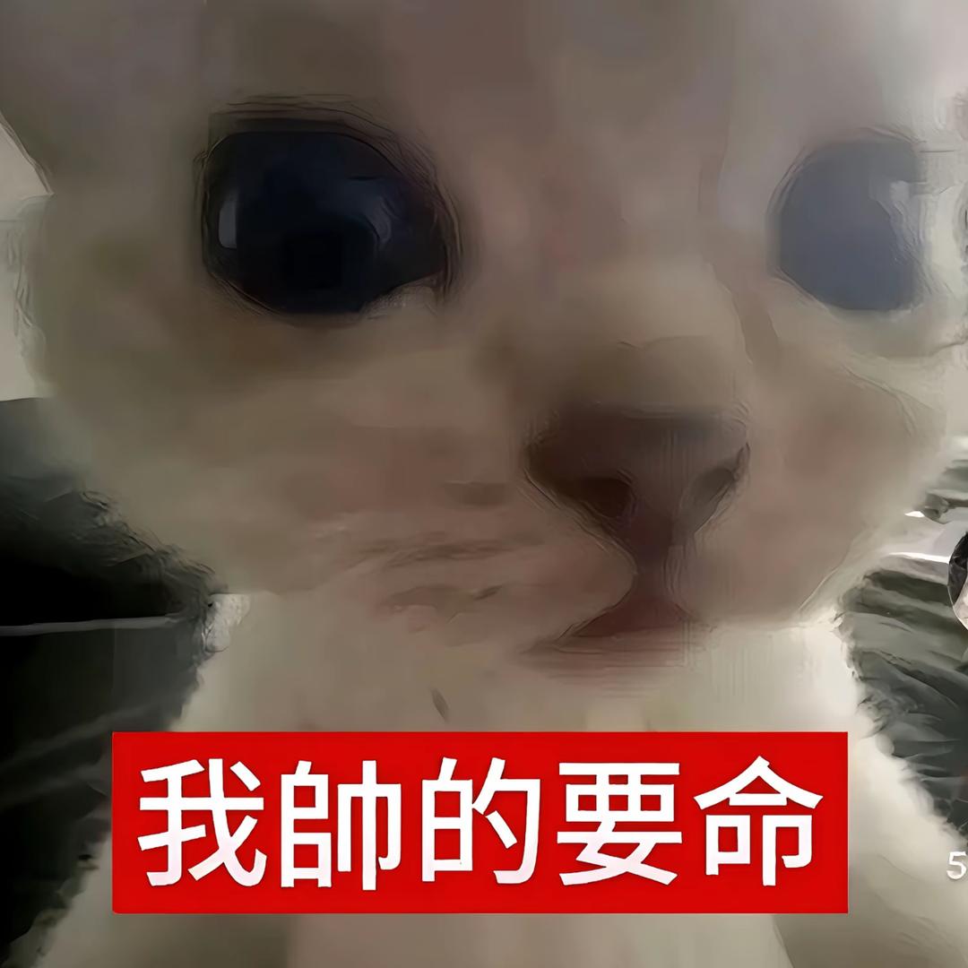 森林土橘猫
