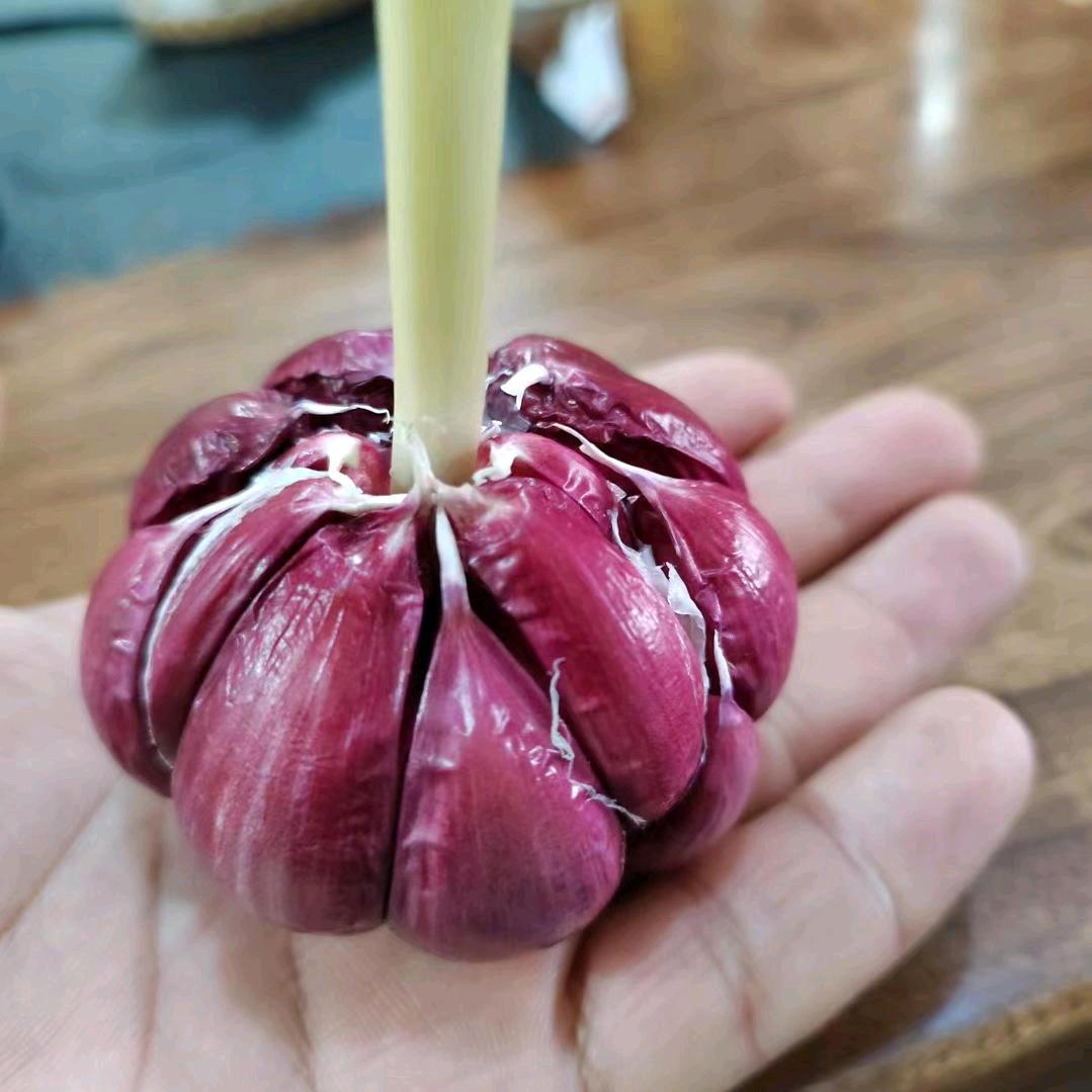 潇洒哥。