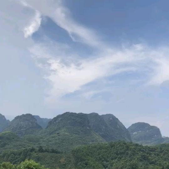 农民的娃娃