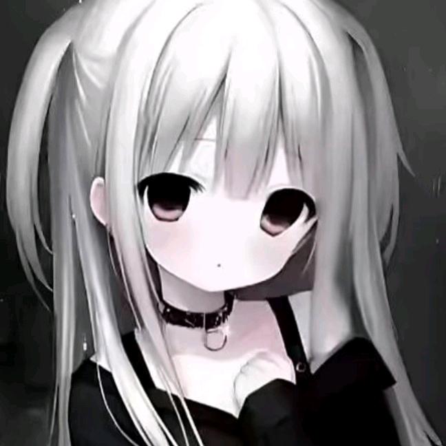 杨会