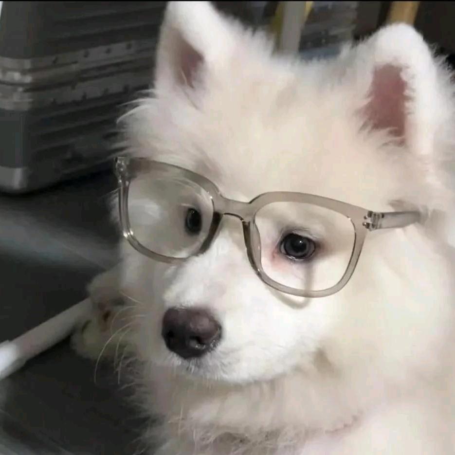 白白