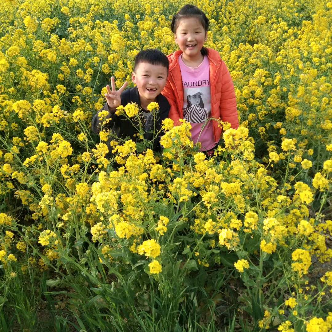 寻找92年2月的妹妹