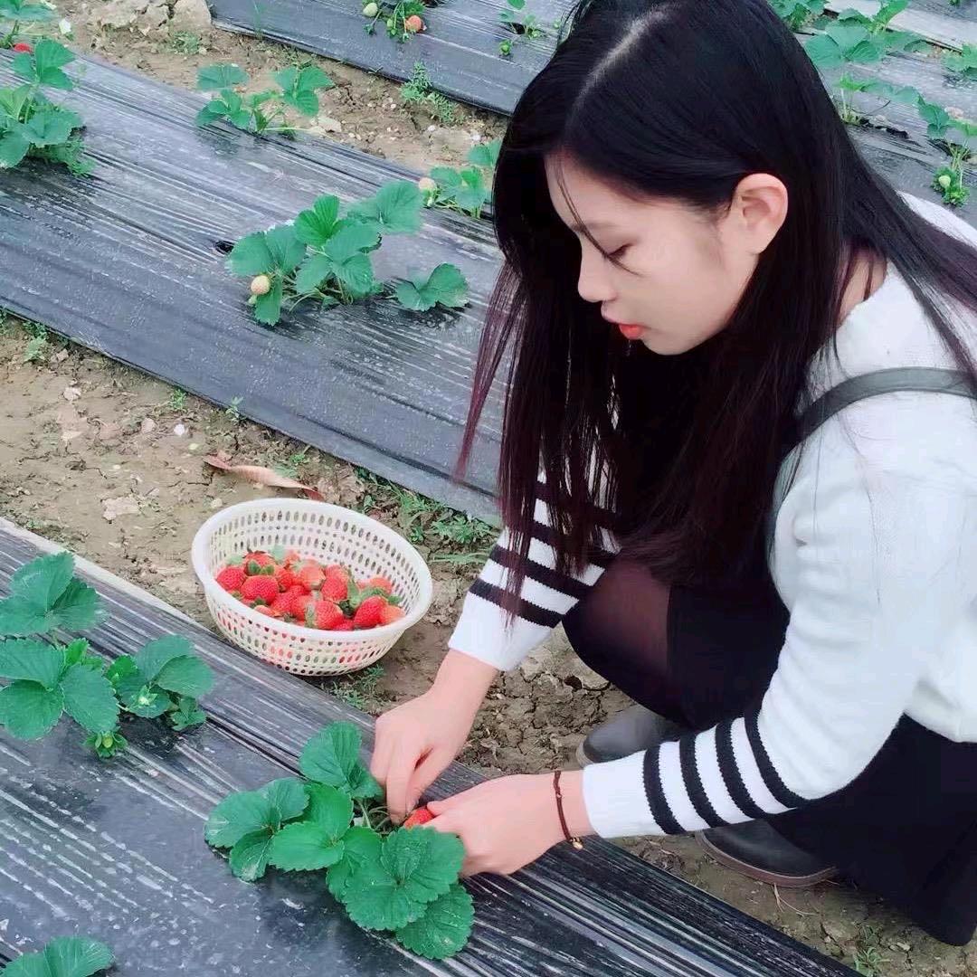 小西米故事分享