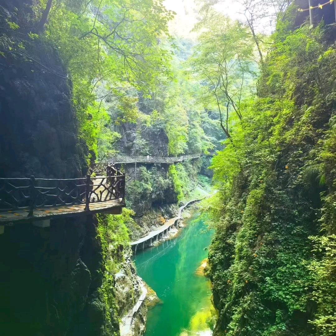 清风吹过来